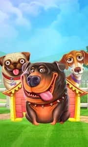 The Dog House